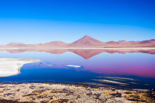 拉古纳五彩缤纷 意思是红湖是玻利维亚高原西南部的一个浅海盐湖 — 图库照片