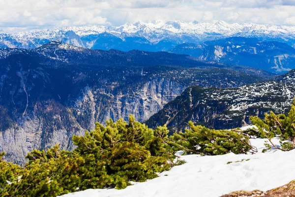 Dachstein 오스트리아 알프스 파노라마 조감도 오스트리아 잘츠카머구트 지역에 손가락 관점에서 — 스톡 사진