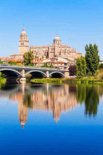 Catedral Salamanca Uma Catedral Gótica Barroca Cidade Salamanca Castela Leão — Fotografia de Stock