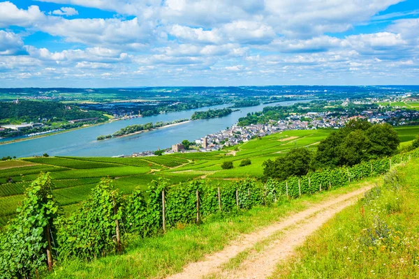 Szőlőültetvények Rüdesheim Rhein Bingen Rhein Városban Légi Panorámás Kilátással Rajna — Stock Fotó