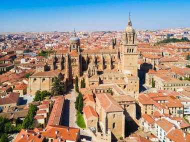 Salamanca Cathedral in Salamanca, Spain clipart
