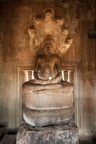 Templet Angkor Wat, Siem reap — Stockfoto