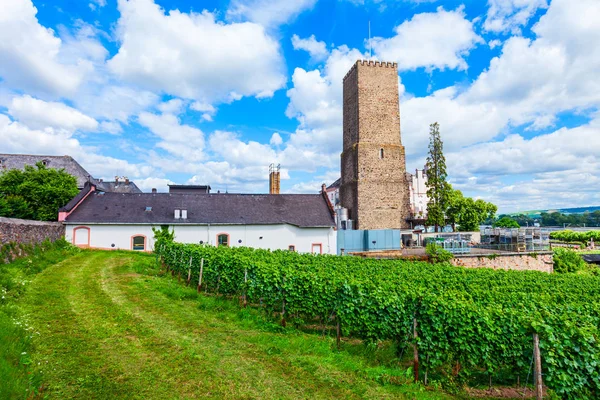 Rudesheim am Rhein Vineyards, Germany — ストック写真