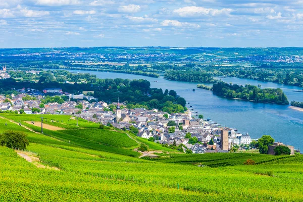 Rudesheim am Rhein Üzüm bağları, Almanya — Stok fotoğraf