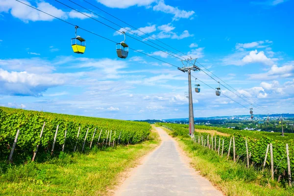 Rudesheim am Rhein Vineyards, Allemagne — Photo