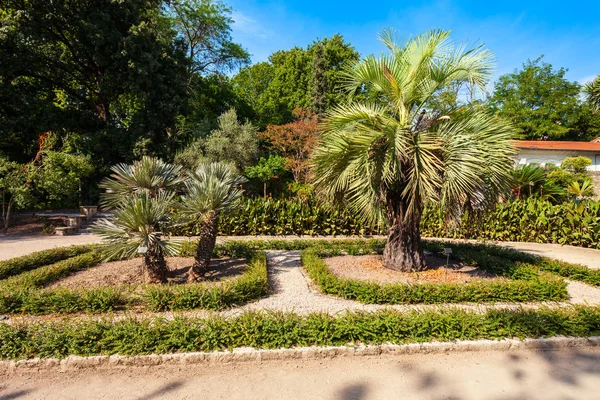 Jardín botánico de Plantes, Montpellier — Foto de Stock