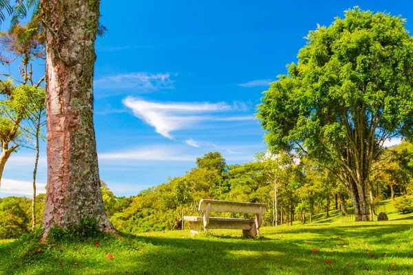 Bali Botanická zahrada v Indonésii — Stock fotografie