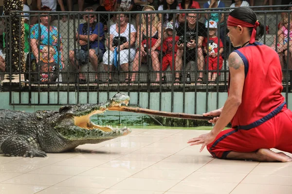 Show de cocodrilos en el zoológico de Phuket — Foto de Stock