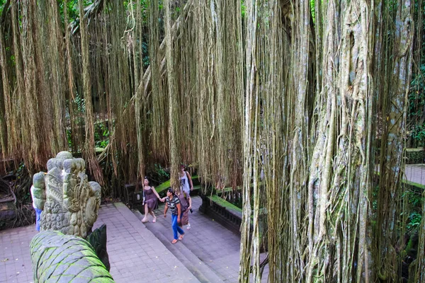 Santuario del Bosque de los Monos de Ubud, Bali —  Fotos de Stock