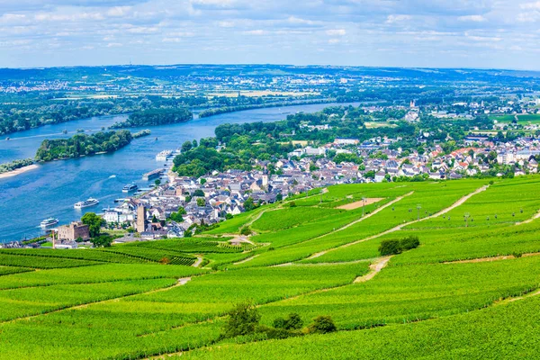 Rudesheim am Rhein Vineyards, Germany — Stock Photo, Image