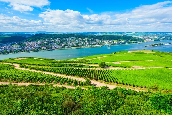 Rudesheim am Rhein Vineyards, Germany — Stock Photo, Image