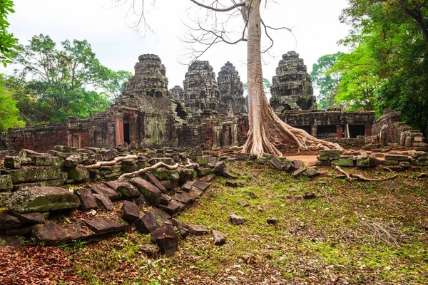 Ναού Angkor Wat, Siem συγκεντρώνει — Φωτογραφία Αρχείου