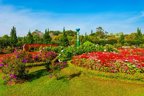 Dalat Flower Garden Park, Vietnam — Foto Stock