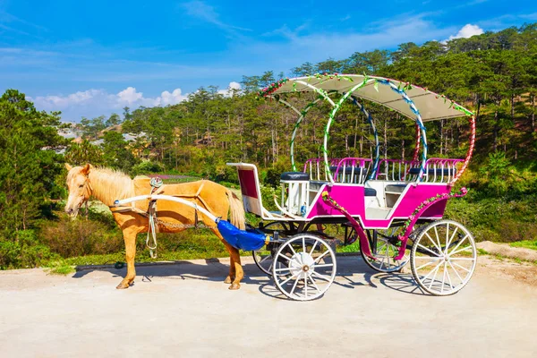 Valley of Love park, Dalat — Stock Photo, Image