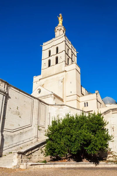 Palácio dos Papas, Avignon — Fotografia de Stock