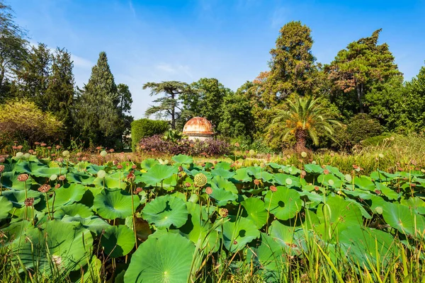 Jardim botânico Jardin plantes, Montpellier — Fotografia de Stock