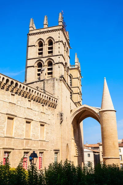 Catedral Montpellier Saint Pierre, França — Fotografia de Stock