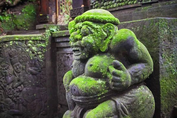 Ubud Monkey Forest sanctuary, Bali — Stock Photo, Image