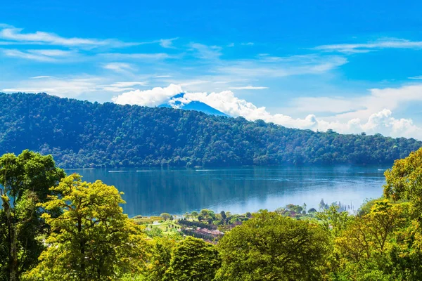 Bali Botanická zahrada v Indonésii — Stock fotografie