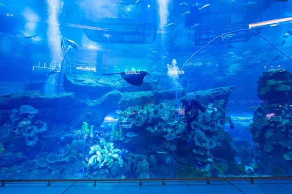 Dubai Aquarium en onderwater Zoo — Stockfoto