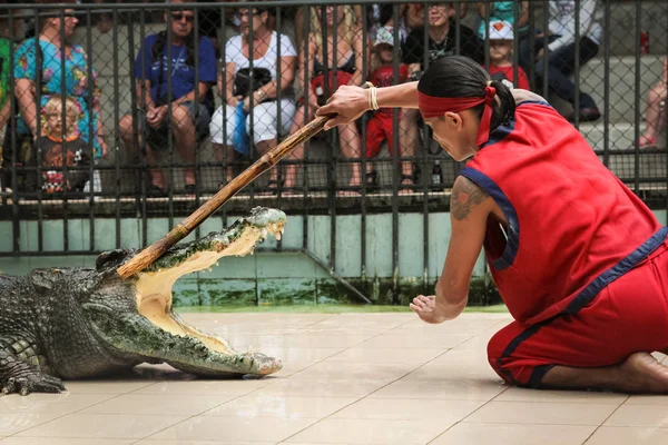 Spettacolo di coccodrilli allo zoo di Phuket — Foto Stock
