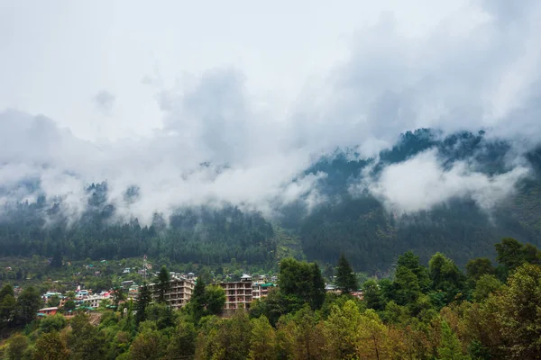 Malowniczy Widok Zalesione Zbocze Górskie Chmurach Wiecznie Zielonymi Iglastymi Iglastwami — Zdjęcie stockowe