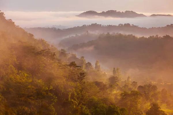Scénický Pohled Krajinu Zalesněného Horského Svahu Mlze Mracích Při Východu — Stock fotografie