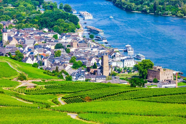 Vineyards Rudesheim Rhein Bingen Rhein Town Aerial Panoramic View Rhine — Stock Photo, Image