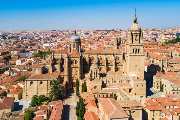 Kathedraal Van Salamanca Een Laat Gotische Barokke Kathedraal Salamanca Castilië — Stockfoto