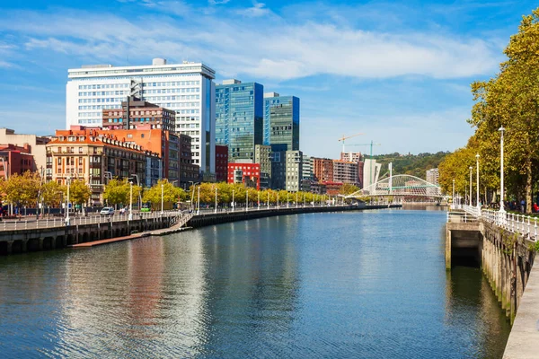 Argine Del Fiume Nervion Nel Centro Bilbao Più Grande Città — Foto Stock