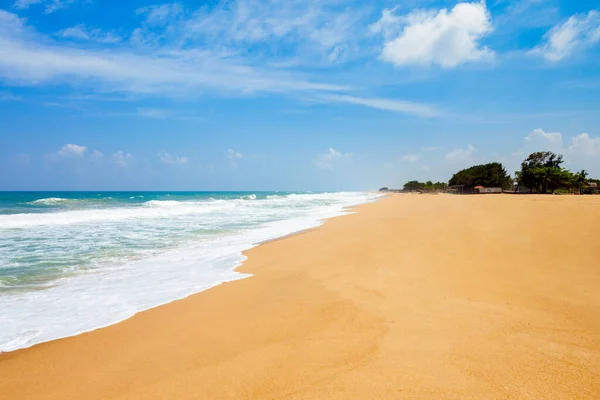 Frumusețe Plajă Singuratică Nisip Galben Insula Sri Lanka — Fotografie, imagine de stoc