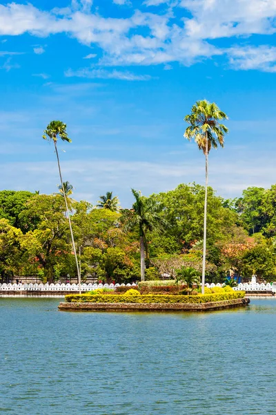 Kandy City Sri Lanka Daki Kandy Gölü Nde Palmiyeleri Olan — Stok fotoğraf