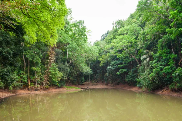 Royal Pond Kandy Udawatta Kele Royal Forest Park Oder Udawattakele — Stockfoto