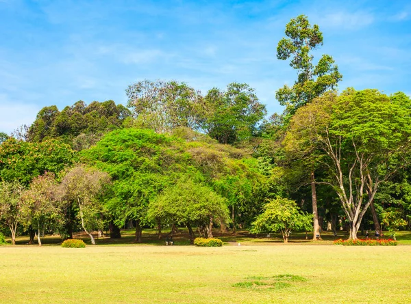 식물원 Peradeniya Royal Botanic Gardens 스리랑카의 근처에 Peradeniya Royal Botanic — 스톡 사진