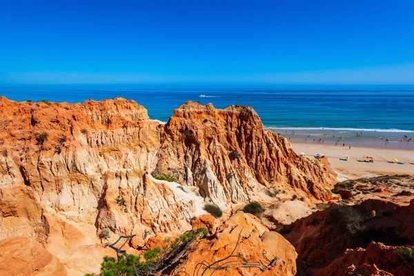 Strand Von Falesia Mit Wunderschönen Kalksteinklippen Der Stadt Albufeira Algarve — Stockfoto