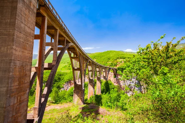 Ponte Djurdjevic Tara Sobre Rio Tara Perto Zabljak Parque Nacional — Fotografia de Stock