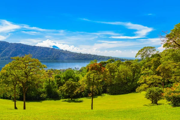 Bali Botanic Garden Kebun Raya Bedugul Più Grande Giardino Botanico — Foto Stock