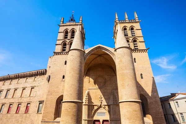 Catedral Montpellier Catedral São Pedro Uma Igreja Católica Romana Localizada — Fotografia de Stock