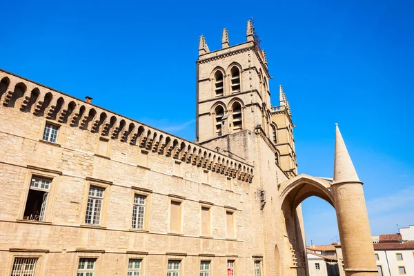 Montpellier Katedrála Nebo Saint Pierre Katedrála Římský Katolický Kostel Nachází — Stock fotografie