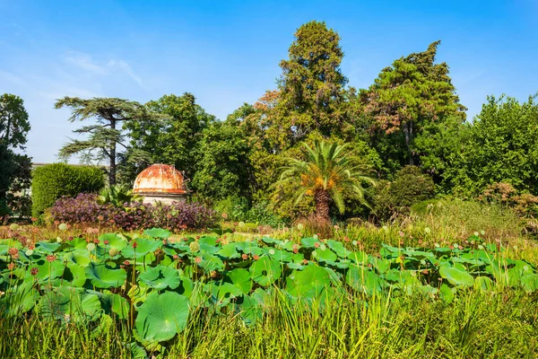 몽펠리에 식물원 Jardin Des Plantes Montpellier 프랑스 몽펠리에에에 식물원이다 — 스톡 사진
