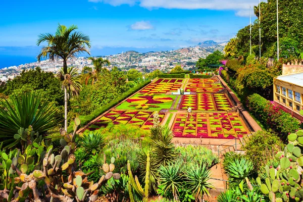 Funchal Madeira Ιούλιος 2014 Μαδέρα Βοτανικός Κήπος Jardim Botanico Στην — Φωτογραφία Αρχείου