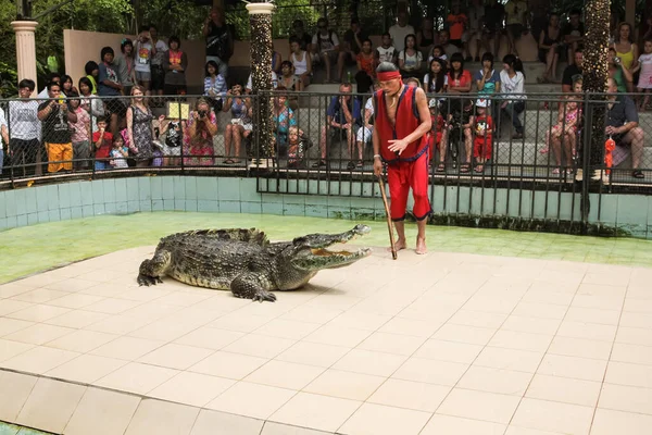 2010年12月11日 タイのプーケット島動物園でのクロコダイルショー — ストック写真