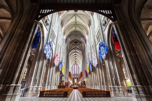 Orleans Katedral Eller Basilique Cathedrale Sainte Croix Orleans Romersk Katolsk — Stockfoto
