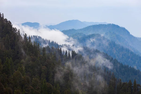 Vista Panorâmica Paisagem Encosta Florestal Montanha Himalaia Nas Nuvens Com — Fotografia de Stock