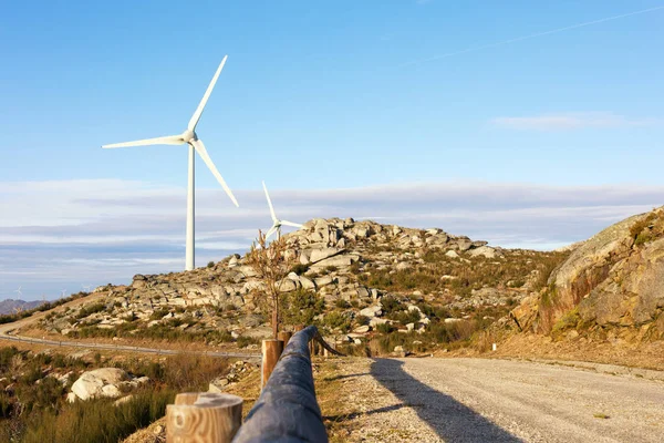 Bela Paisagem Com Turbinas Energia Eólica Céu Azul — Fotografia de Stock