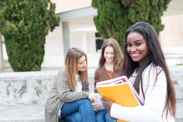 Gruppe Multiethnischer Junger Studenten Auf Dem Universitätscampus — Stockfoto