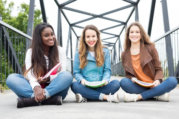 Grupp Multi Etniska Unga Studenter Vid Universitetets Campus — Stockfoto