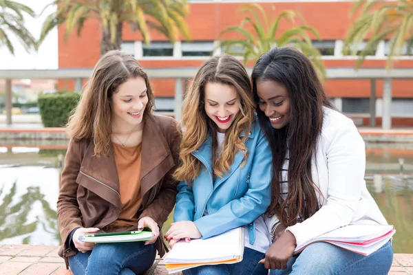Grupp Multi Etniska Unga Studenter Vid Universitetets Campus — Stockfoto