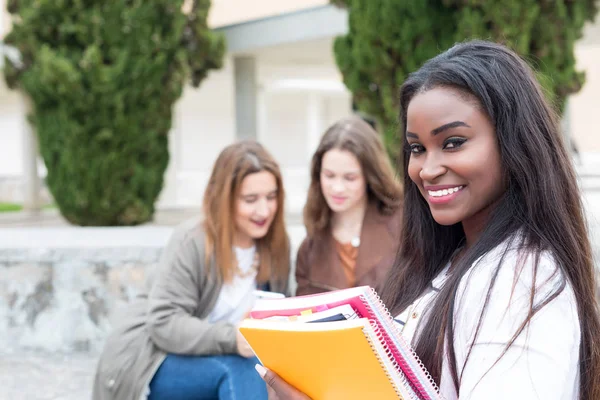 Grup çok etnik genç öğrenciler Üniversitesi Kampüsü