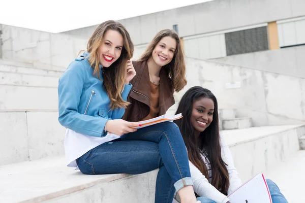 Grupo Jovens Estudantes Multi Étnicos Campus Universitário — Fotografia de Stock